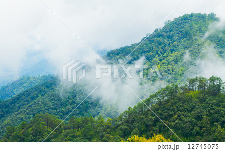 Fog and cloud mountain valley landscape Fog and cloud mountain valley landscape 12745075