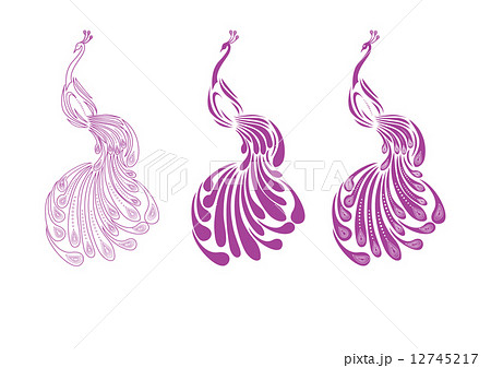 Vector peacock 12745217