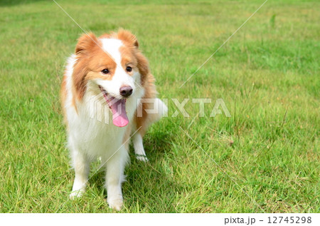 ねぇねぇ♪ 12745298