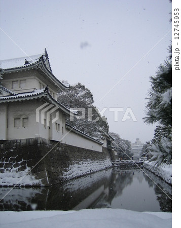 雪の二条城 12745953