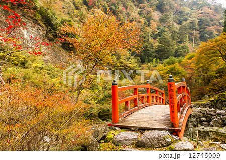 高知県仁淀川町 安居渓谷 もみじ公園の写真素材