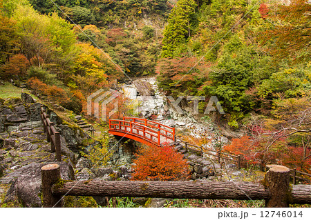 安居渓谷 もみじ公園の写真素材