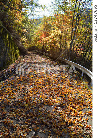 落ち葉 12747695