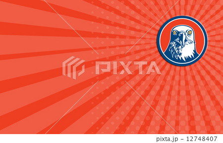 Business card American Bald Eagle Head Circle Retro Business card American Bald Eagle Head Circle Retro 12748407