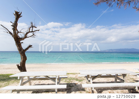 沖縄のビーチ・ミッションビーチ 沖縄のビーチ・ミッションビーチ 12750029