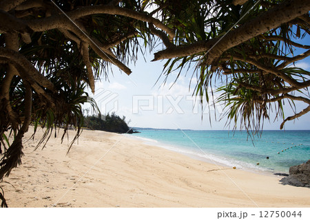 沖縄のビーチ・ミッションビーチ 沖縄のビーチ・ミッションビーチ 12750044