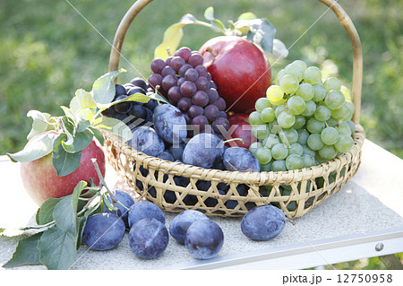 フルーツ狩り 12750958