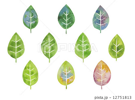 いろいろな葉っぱ 水彩イラストのイラスト素材