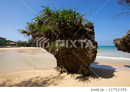 沖縄のビーチ・宇加地近隣公園ビーチ 12752340