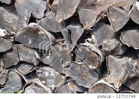 Pile of birch firewood 12752748
