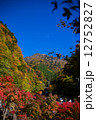 梅ケ島温泉の紅葉 12752827