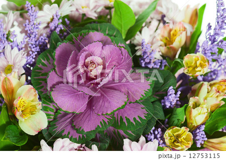Fragment of Colorful Flower Bouquet Isolated on White Background Fragment of Colorful Flower Bouquet Isolated on White Background 12753115