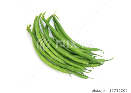 インゲンマメ 12753202