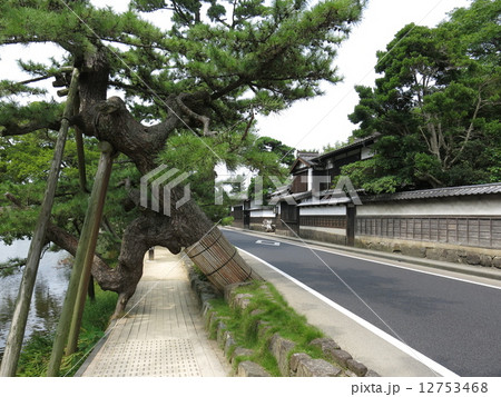 松江市の塩見縄手の街並み（武家屋敷・くぐり松） 12753468