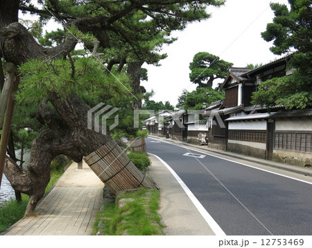 松江市の塩見縄手の街並み（武家屋敷・くぐり松） 12753469