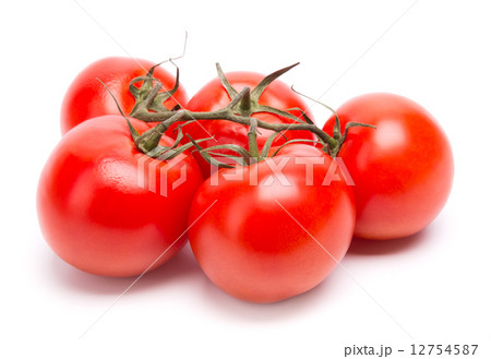 branch of tomatoes 12754587