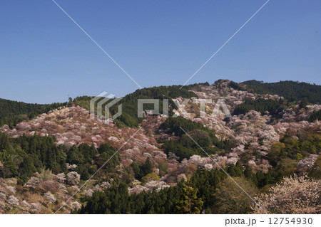 桜風景　吉野山四月 12754930