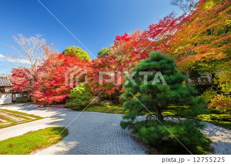 秋の天授庵 12755225