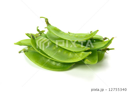 オランダ豆 12755340