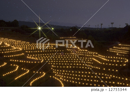 キャンドルライトアップ　千早赤阪村　下赤坂棚田 12755344