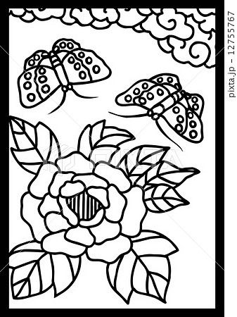 オオムラサキ オオムラサキ 12755767