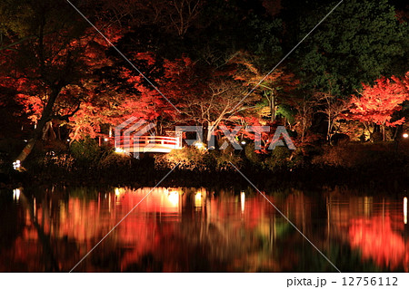 紅葉ライトアップの大覚寺大沢池の写真素材