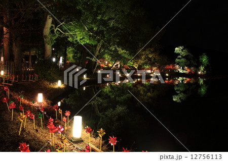 紅葉ライトアップの大覚寺大沢池 紅葉ライトアップの大覚寺大沢池 12756113
