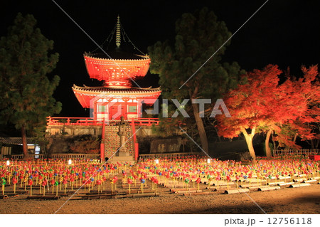 紅葉ライトアップの大覚寺大沢池 12756118
