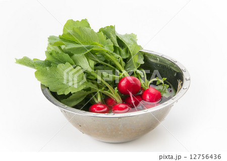 ラディッシュ ラディッシュ 12756436