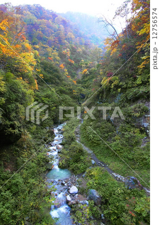 大田切渓谷 12756574