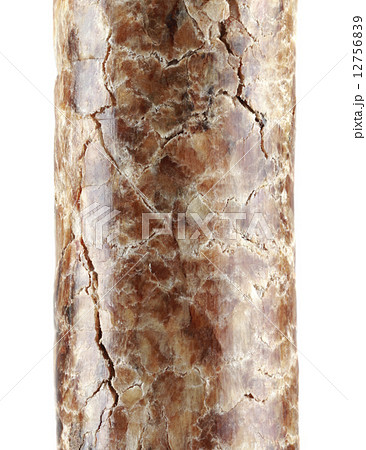 Wooden Pellet Magnification Cutout Wooden Pellet Magnification Cutout 12756839