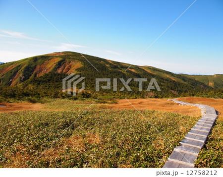 登山道からみる平ヶ岳山頂 12758212