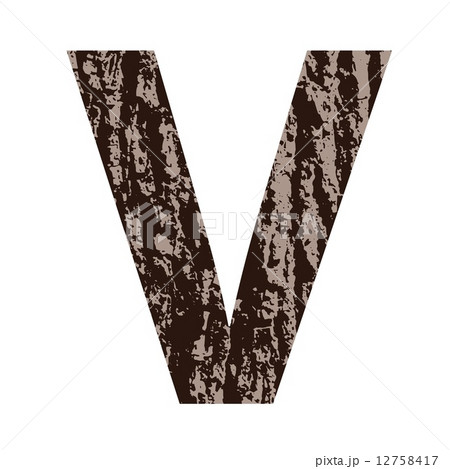 letter V made from oak bark letter V made from oak bark 12758417