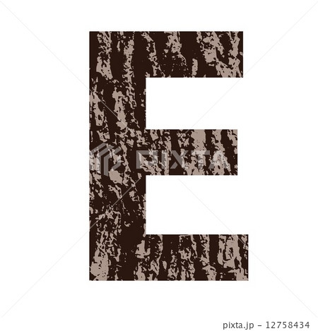 letter E made from oak bark 12758434
