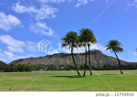 ハワイの休日 ハワイの休日 12759910