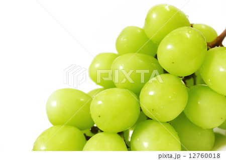 シャインマスカット 12760018