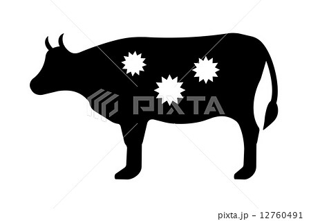 ウイルスに感染した牛 12760491