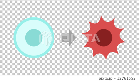 細胞のがん化 細胞のがん化 12761552