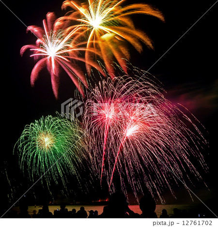 Elegant Firework Celebration. Elegant Firework Celebration. 12761702