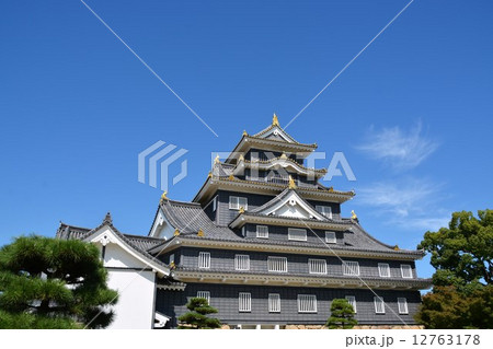 初秋の岡山城 12763178