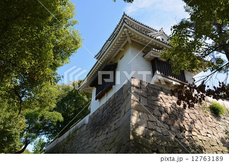 初秋の岡山城 12763189