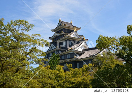 初秋の岡山城 初秋の岡山城 12763193