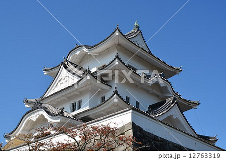 初秋の伊賀上野城 初秋の伊賀上野城 12763319