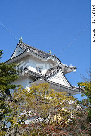 初秋の伊賀上野城 12763334