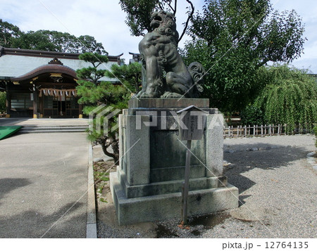 結城神社の狛犬 12764135