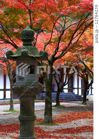 呑山観音の紅葉 12764239