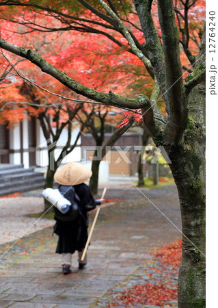 呑山観音の紅葉 呑山観音の紅葉 12764240