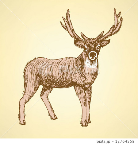 Sketch cute deer in vintage style 12764558