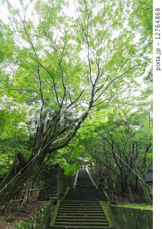 鰐淵寺・参道 鰐淵寺・参道 12764868