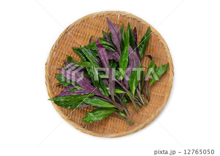 スイゼンジナ 12765050